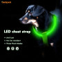 aidiPET LED USB RECARGABLE PERRO ARNÉS Chaleco de arnés de perro de nylon intermitente nocturno de lujo