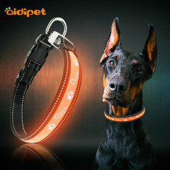 Collare per cani con luce lampeggiante in spandex Collare per cani con stampa zampa e osso Collare per cani ricaricabile con bagliore a LED per passeggiate notturne