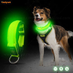 Collier de chien en cuir rembourré avec Logo personnalisé Led collier de chien en Nylon réfléchissant clignotant avec colliers de chien LED à lueur USB