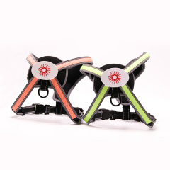 Gros Glow Dog Harness Nylon Personnalisé RVB Led Chien Harnais 2022 Multicolore Lumière Harnais Led
