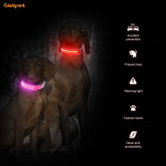 wholesale Glühen Hundehalsbänder Haustierprodukte Hund Katze LED-Licht Hundehalsband Pet CollarWith LED Lights