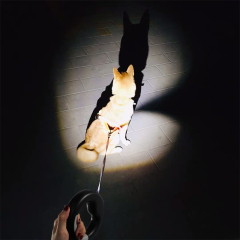 Laisse de chien rétractable de haute qualité avec lampe de poche LED Leash de plomb pour chien à forte force de traction