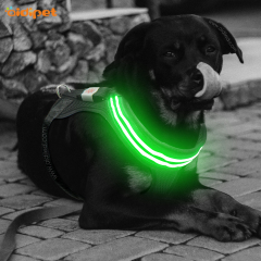 Arnês de cachorro leve acolchoado macio com led de segurança noturna para passeio para cães de estimação coleira