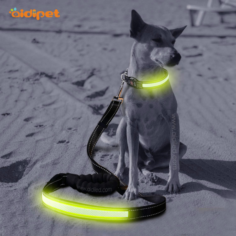 Wholesale Amazon Selling  Flashing Light up Dog Lead Leash with Led 2021 Trending Dog Leash Glow