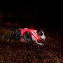 Dual Optical Fibers Led Harness for Dogs Good Quality Night Safety Reversible Harness Dog with Light