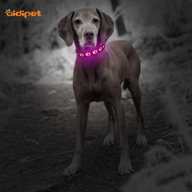Hollow Printing PU Leather Led Dog Collar USB Rechargeable Dog Cat Led Collars Fashion Design Luminous Pet Collar