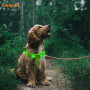 कुत्ते के लिए आरजीबी बहुरंगा एलईडी हार्नेस रंगीन प्रकाश के साथ अनुकूलित लोगो चमकती पालतू कुत्ता हार्नेस