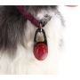 Nouvelle mode Led collier de chien pendentif étiquette lumière nuit sécurité chien Guide étanche lumière extérieure Led chien accessoires