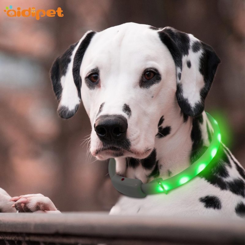 Night Safety LED Dogs Collar,Nlon Lights Flashing Glow In Dark Electric Pet Coolars 6Colors Pet Supplies Dog Cat Leash Dropship