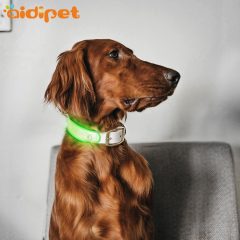 2021 Hundezubehör Beleuchtetes Halsbandabdeckungslicht Anbringbares blinkendes LED-Hundehalsband und Leinenabdeckungslicht