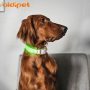Aidi M3 2022 Dog Accessories Light Up Collar Cover Spandex Attachable Led Pet Collar and Leash Cover Light
