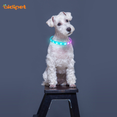 Meilleur vendeur collier de chien en Silicone Rechargeable par USB clignotant avec lumière LED RVB