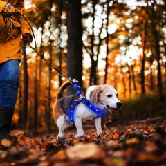 Pet Leine Harness RGB Blinkendes Starkes Hundegeschirr Kundenspezifisches Logo mit Mehrfarbigem Leuchtendem Hundegeschirr Leuchtend