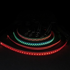 AIDI Blinkendes LED-Hundehalsband und Leine Beleuchtete Hundeleine Leuchtende, aufladbare LED-Leine aus PU-Leder