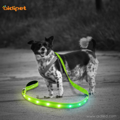 Laisse de chien lumineuse RVB avec charge USB lumineuse Laisses pour animaux de compagnie à LED multicolores avec au-delà de 10 modes de clignotement
