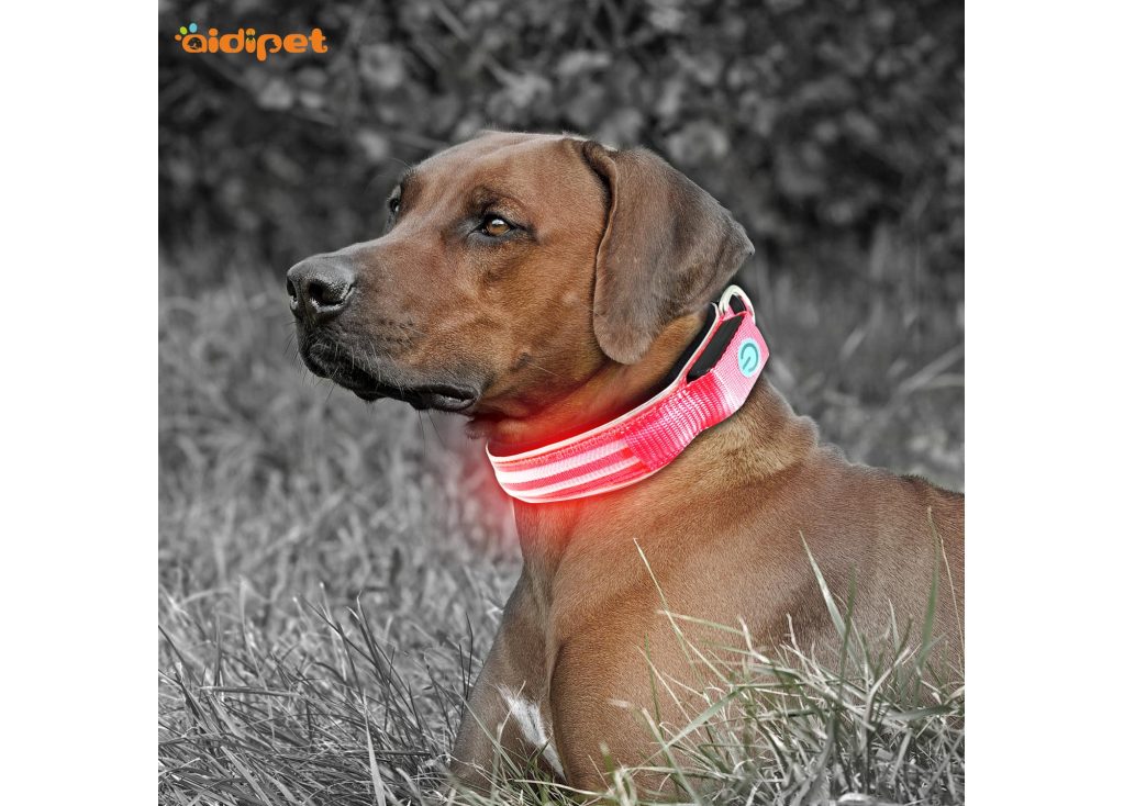 How Rechargeable LED Polyester Webbing Pet Collar Works