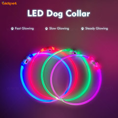 Collar para perro Flea Fancy LED Dog Head en stock