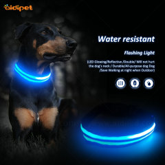 Producto para adiestramiento de perros Paseo nocturno al aire libre LED Collar para mascotas