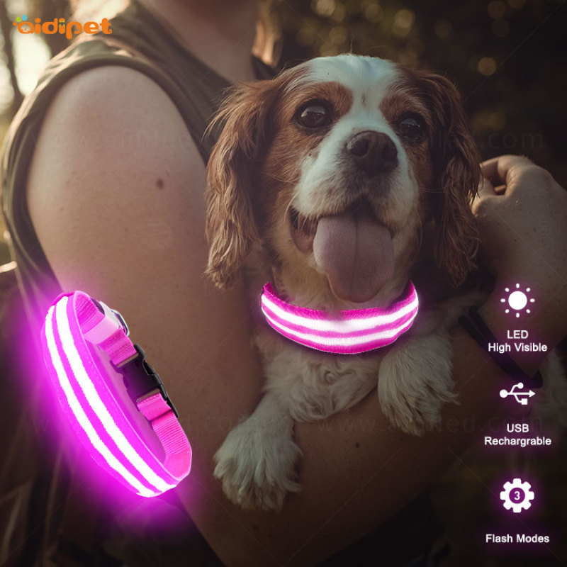 منتج تدريب الكلاب في الهواء الطلق ليلة المشي LED طوق الحيوانات الأليفة