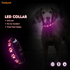 Populaire hete verkoop huisdier accessoire Holle afdrukken Led Pet Collar