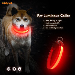Collare LED per cani da compagnia incandescente ricaricabile USB per sicurezza notturna