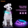 Usine vente chaude LED couleur changeante colliers pour animaux de compagnie produit de mode pour les types de chien de compagnie