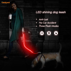 Grande venda de moda LED com trela de luz intermitente para cachorro