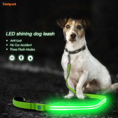 Hot Sale Fashion LED Laisse de chien de lumière clignotante