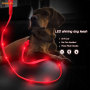 Correa de perro plana LED de PVC con batería recargable, estilo de luz de punto, correa ligera para mascotas