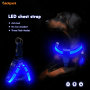 USB Rechargeable Outdoor Safety LED Dog Harness