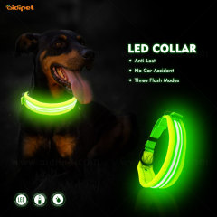 Keamanan Desain Profesional Pet Led Flashing tali kerah anjing pintar dengan lampu led