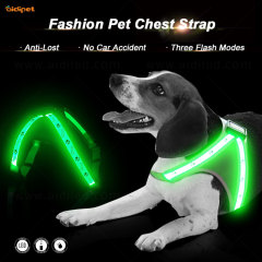 Kenyamanan Tahan Lama Tahan Air Isi Ulang Nylon Soft Mesh Led Dog Harness