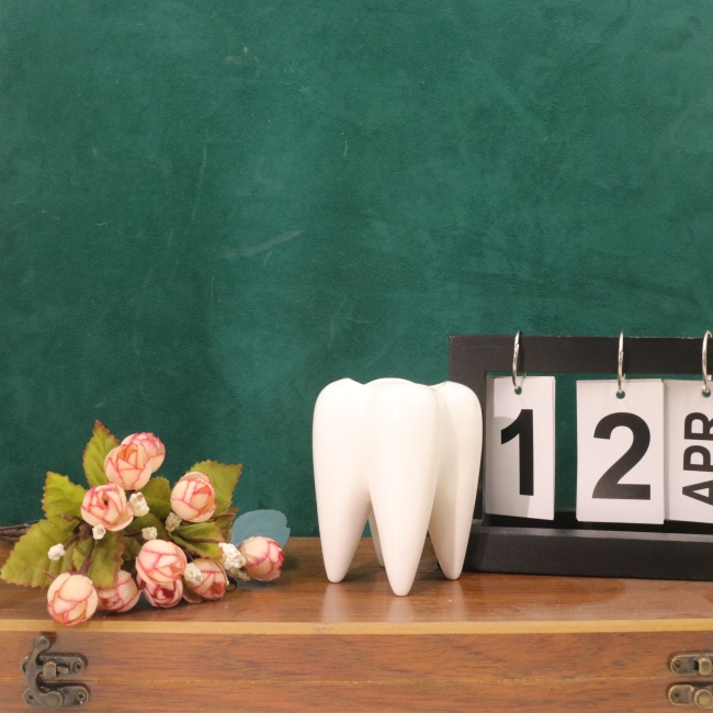 Custom Wholesale White Tooth Shape Planter Pot Desk Organizer Decoration Creative Pen Pencil Brush Holder