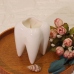 Custom Wholesale White Tooth Shape Planter Pot Desk Organizer Decoration Creative Pen Pencil Brush Holder