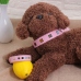 C&H Customized Pet Print Cat Collar Wholesale Colorful Crystal Stone Pu Leather Neck Collar for Dog Walking