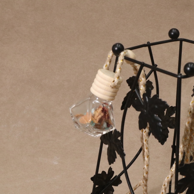 C&H Delicate Design Car Perfume Bottle 10ml Car Perfume Diffuser Bottle Car Perfume Bottle with Clips