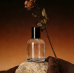 Popular Modern BPA-free Glass 50ml 100ml Customizable Non-toxic Hotel Room Odor-eliminating Spray C&H