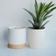C&H Aromatherapy Candle Manufacturer Scented Wax Soy Wax Candle Ceramic Cup Ornament Fragrance Gift
