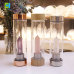 C&H Customized Infuser Water Bottle Glass Drinking Bottle with Healing Crystals Stainless Steel Bamboo Lid Glass Water Bottle