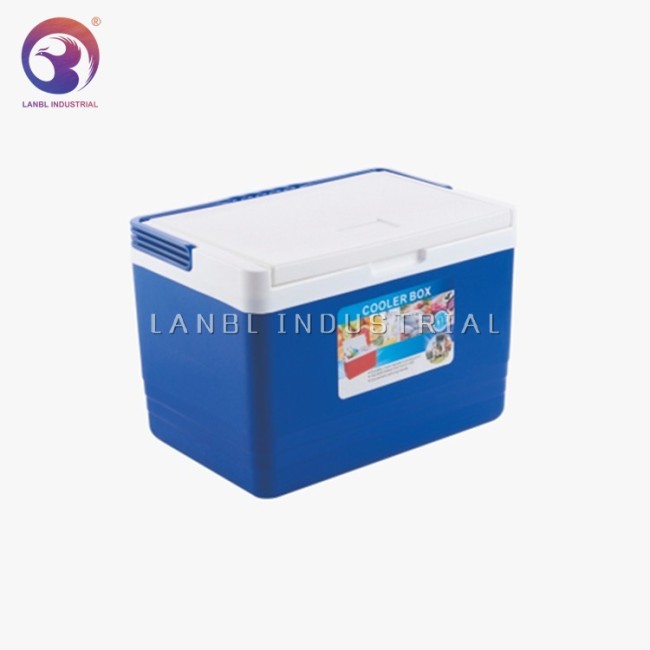 11L Wholesale Portable Plastic Ice Cooler Box For Picnic Beverage And Food