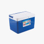 11L Wholesale Portable Plastic Ice Cooler Box For Picnic Beverage And Food