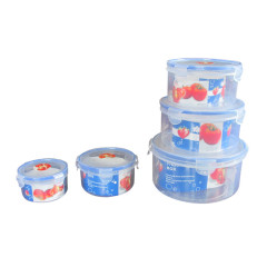 Customized 5Pcs/Set Plastic Insulated Lunch Box Food Container