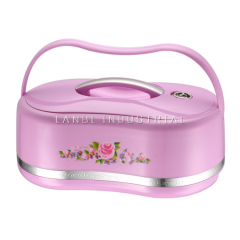 Luxury Food Warmer Container Sets Lunch Box for Adults & Kids with Factory Price