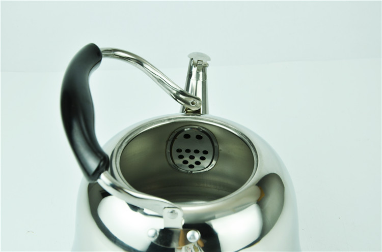 Stainless-Steel-Mirrored-Polished-Double-Wall-Insulated-Teapot-Coffee-Kettle-with-Strainer-LBSK0031