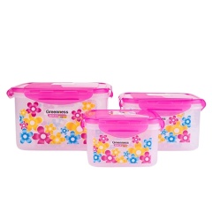 Customized 3Pcs/Set Lunch Box Plastic Freshness Preservation Food Container