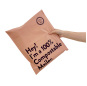 Low MOQ  Customized Biodegradable Shipping Polybag Compostable Mailer Bags Eco Clothing Shipping Bag