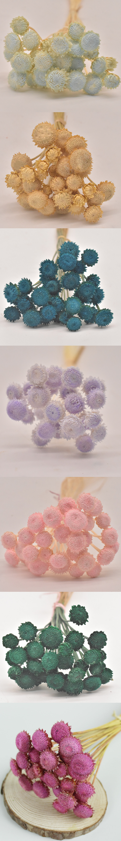 Purple Dried Flower