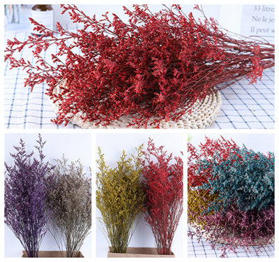 Red Dried Preserved Grass