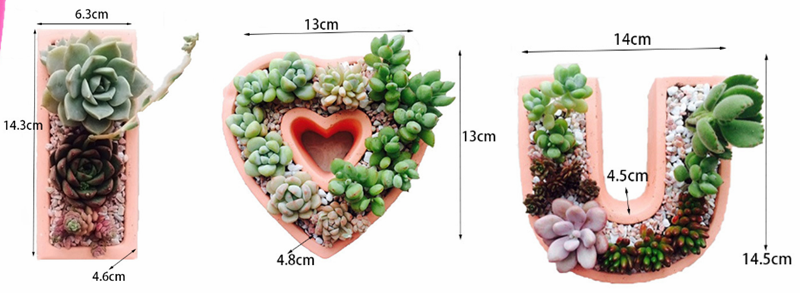Plant Gift For Valentine