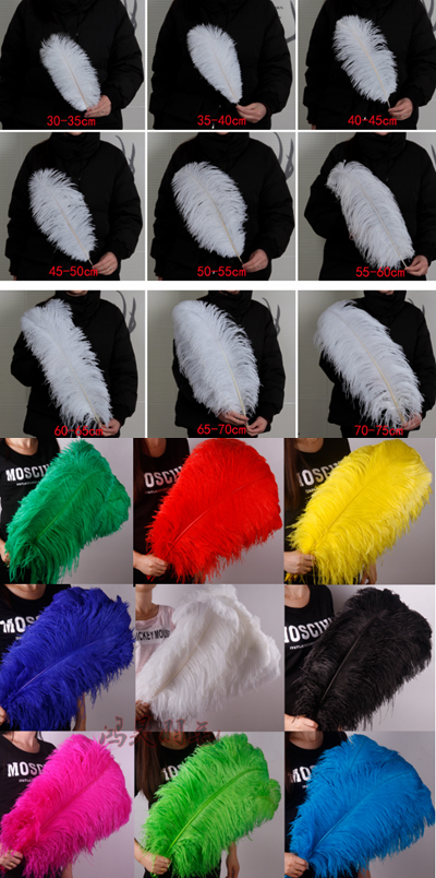ostrich feather size info